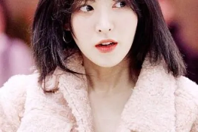 WENDY-RED VELVET