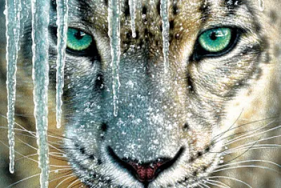 BLUE ICE jigsaw puzzle