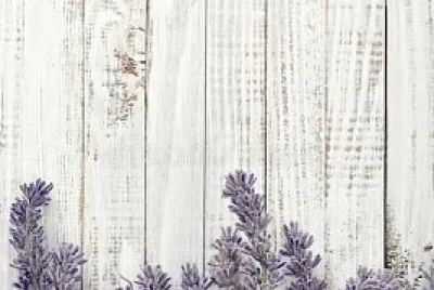 violetas