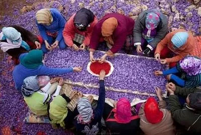 iran jigsaw puzzle