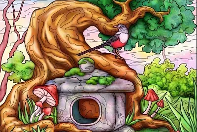 colorido