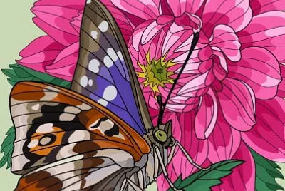 colorido