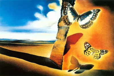 ×¤×¨×¤×¨