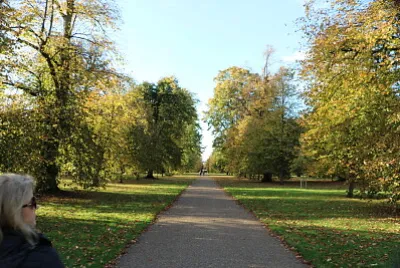 Hyde Park, London, UK jigsaw puzzle