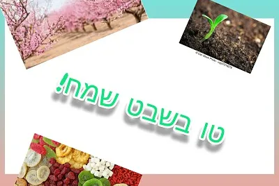 פאזל של ×¤××–×œ ×˜×• ×‘×©×‘×˜