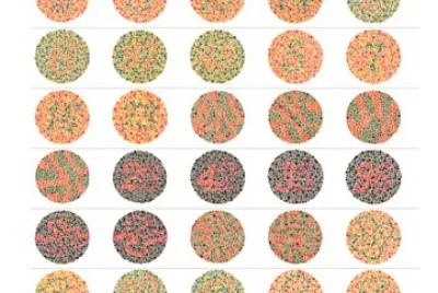 Colour Vision Test