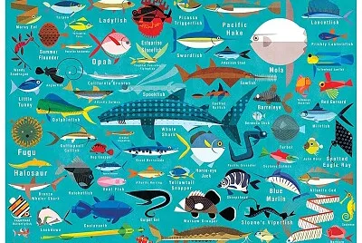 fish