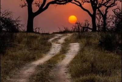 פאזל של No Name