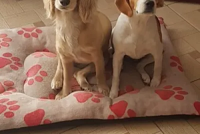 Cosas hermosas