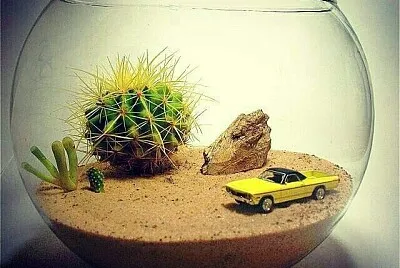 Terrarium