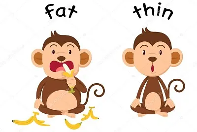 monkey