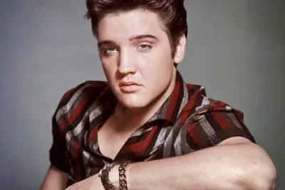 Graceland jigsaw puzzle