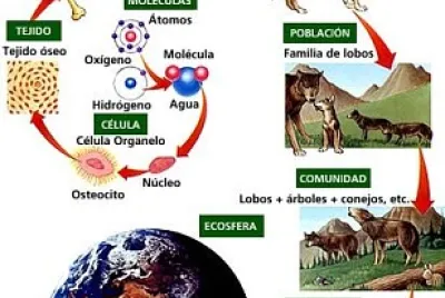 CIENCIAS NATURALES 1RO BÃSICO