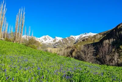 Imagem jigsaw puzzle