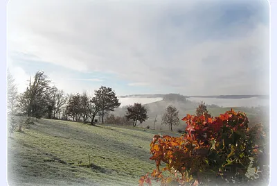 Gelée matinale