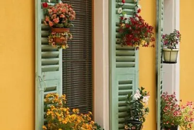 ventanas