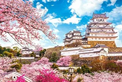 imagem jigsaw puzzle