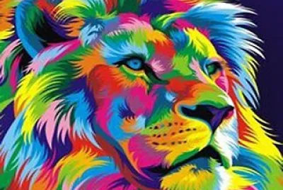 Rainbow Lion