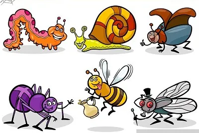 invertebrados jigsaw puzzle