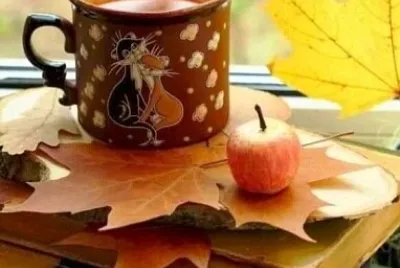 taza