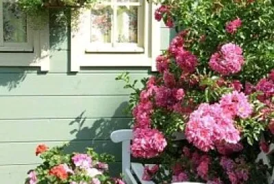 ventana jigsaw puzzle
