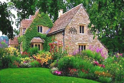 jardÃ­n jigsaw puzzle