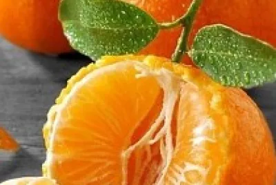 mandarina