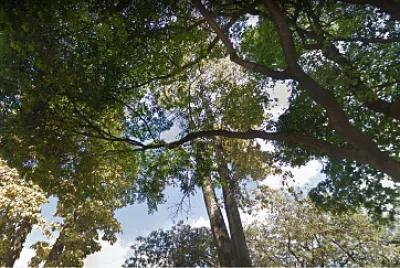 Imagem jigsaw puzzle