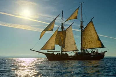 tall ships race