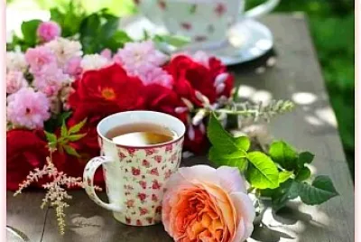 taza
