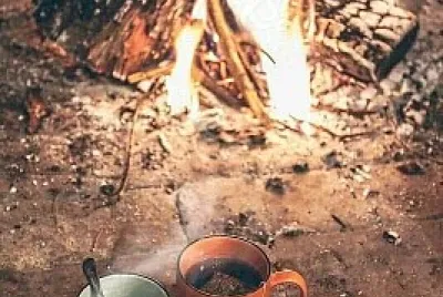tazas