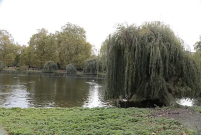 St. James Park, London, UK jigsaw puzzle
