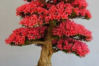 red jigsaw puzzle