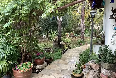 ×’×™× ×” ×‘×—×•×¨×£