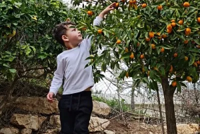 ×–×™×•