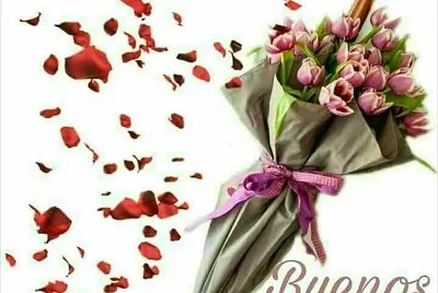 Flores