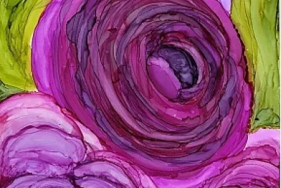 peonias violetas