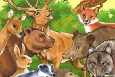 animals
