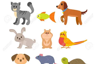 Pets