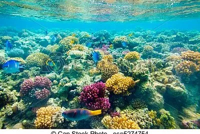 Fundo do Mar jigsaw puzzle