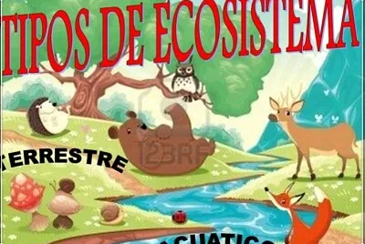 Ciencias Sociales