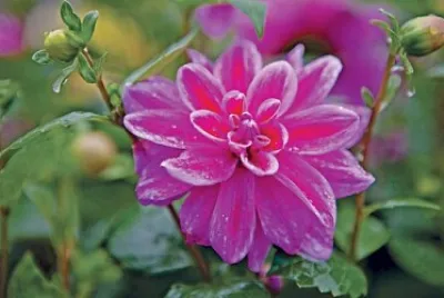 OK jigsaw puzzle