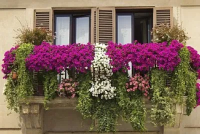 balcone 3