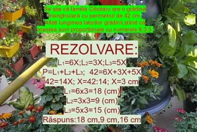 problema :figuri geometrice
