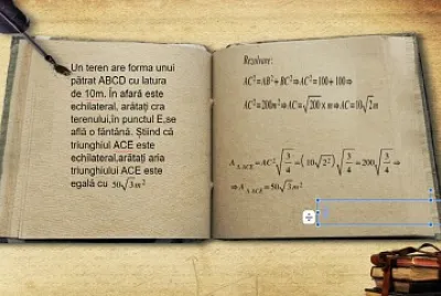 proiect