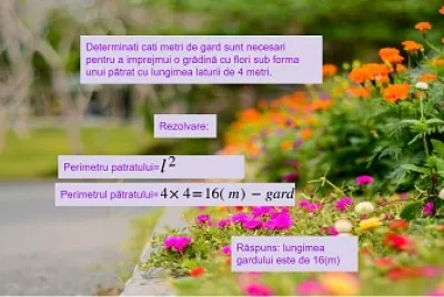 Problema (geometrie)