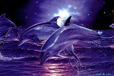 Delfin2