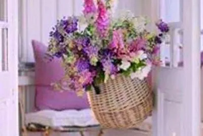 flores