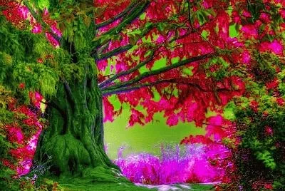 Imagem jigsaw puzzle