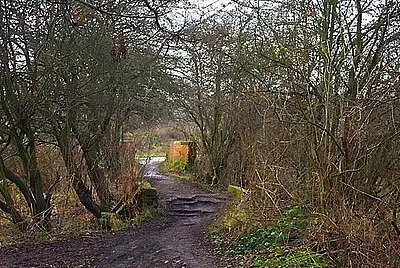 Mill Lane jigsaw puzzle